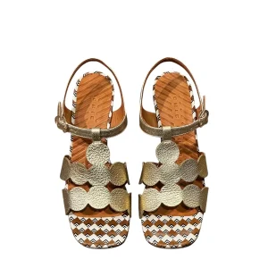 Talons Linaza Dali Champan - Chie Mihara